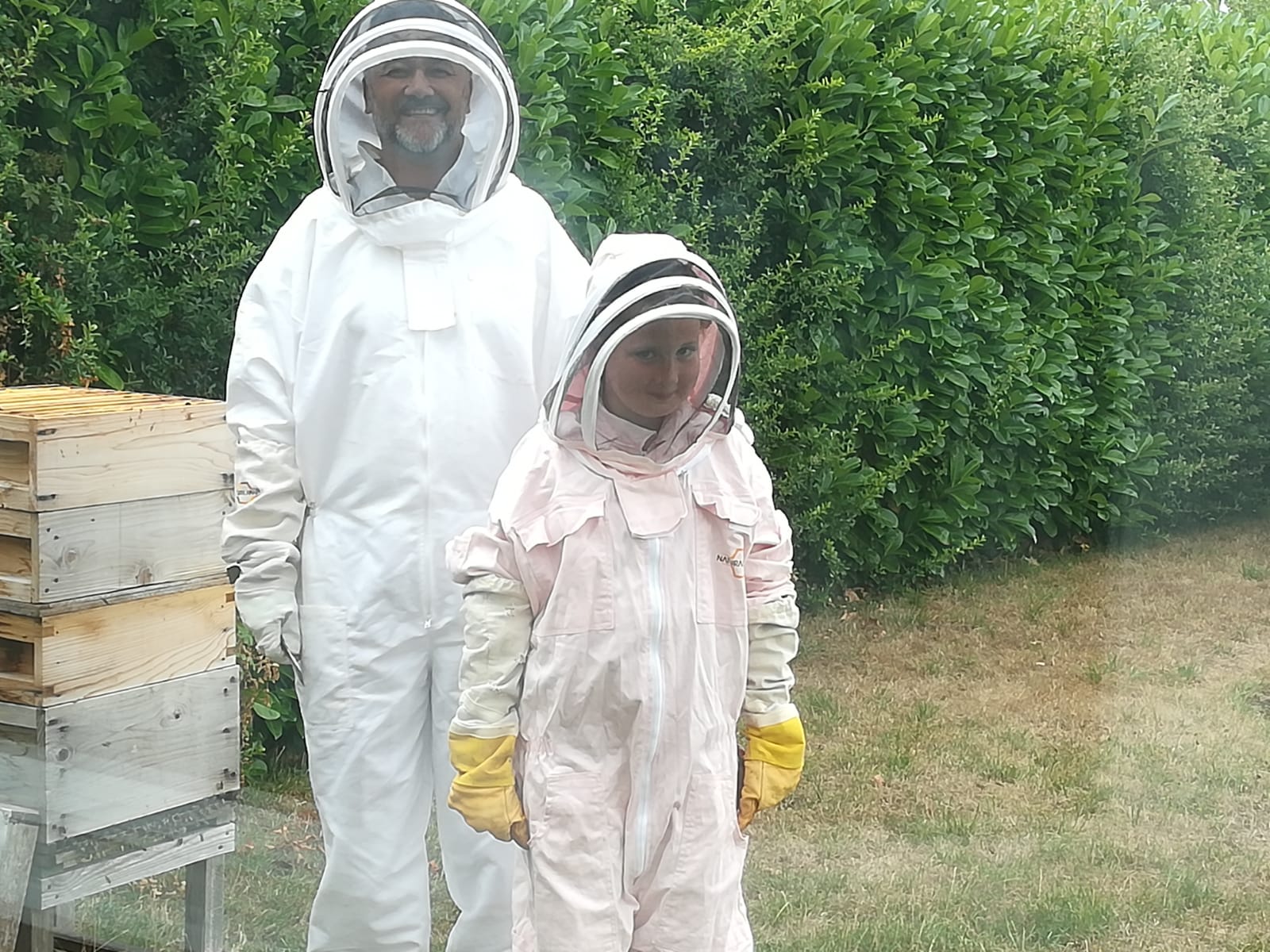 Blog - What Beekeeping Taught Me About Digital Leadership