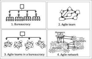 Bureaucratic Network vs Agile Network